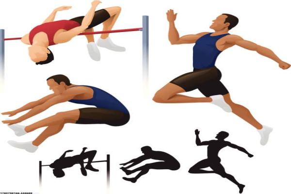 小老虎体育培训课程的学员体验与课程内容(图1)